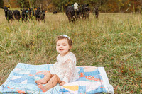 Emersyn is ONE!